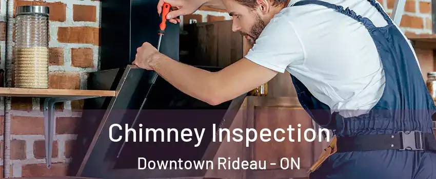  Chimney Inspection Downtown Rideau - ON