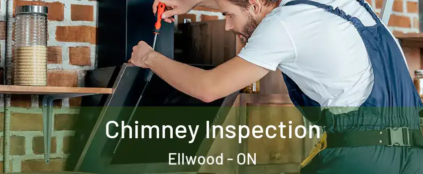  Chimney Inspection Ellwood - ON