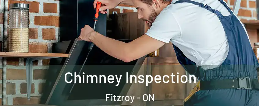  Chimney Inspection Fitzroy - ON