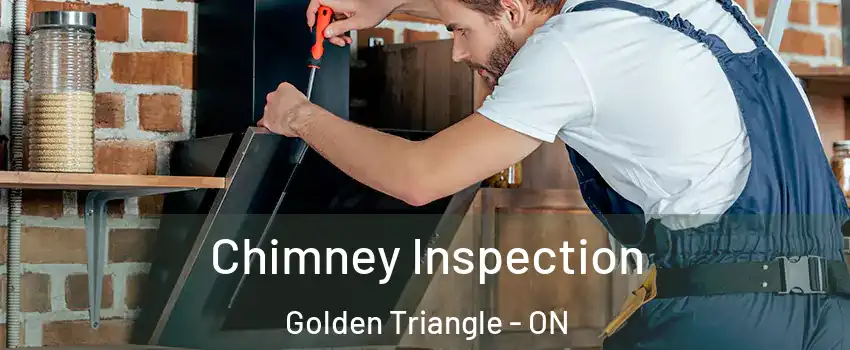  Chimney Inspection Golden Triangle - ON