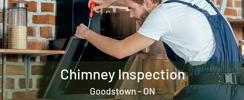  Chimney Inspection Goodstown - ON