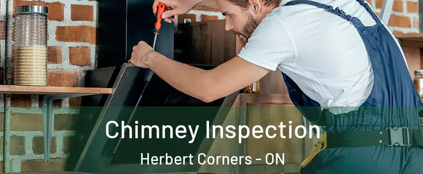  Chimney Inspection Herbert Corners - ON