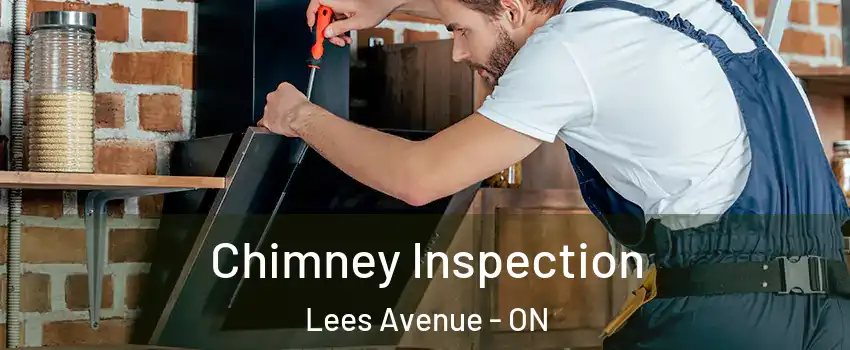  Chimney Inspection Lees Avenue - ON