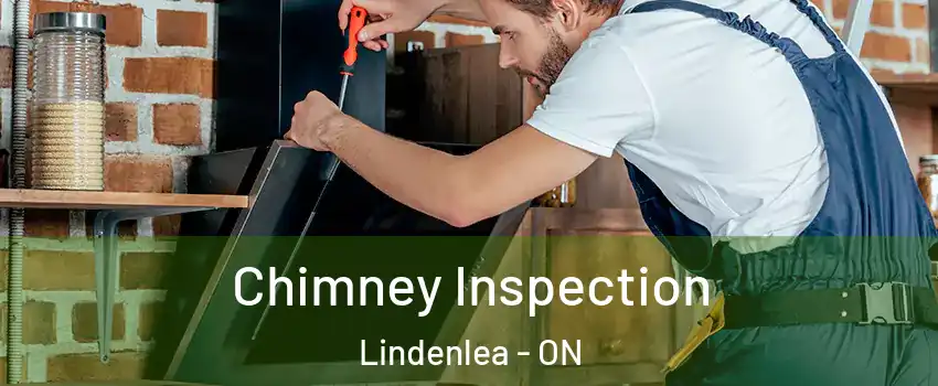  Chimney Inspection Lindenlea - ON