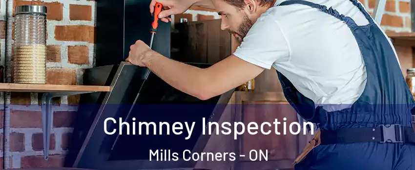  Chimney Inspection Mills Corners - ON