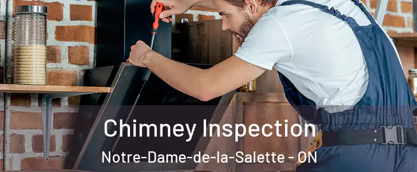  Chimney Inspection Notre-Dame-de-la-Salette - ON