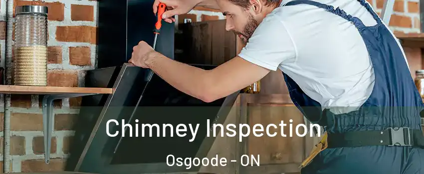  Chimney Inspection Osgoode - ON