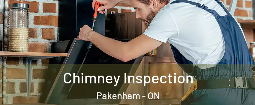  Chimney Inspection Pakenham - ON