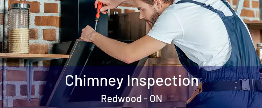  Chimney Inspection Redwood - ON