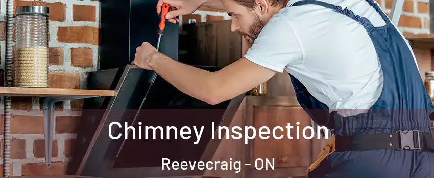  Chimney Inspection Reevecraig - ON