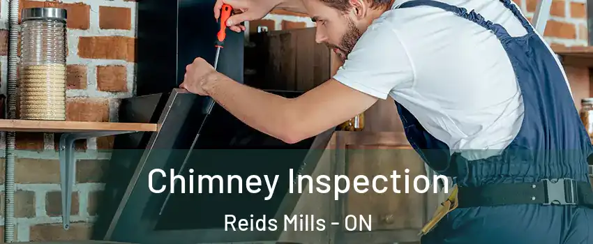  Chimney Inspection Reids Mills - ON