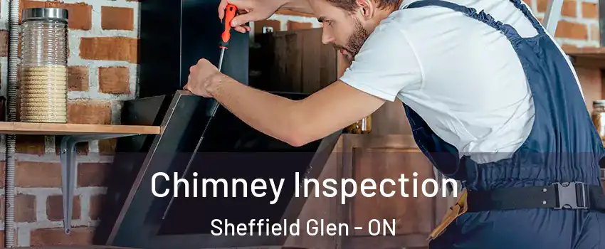  Chimney Inspection Sheffield Glen - ON