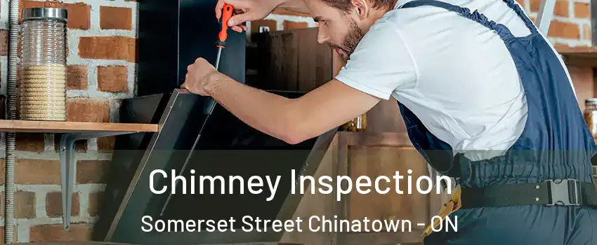  Chimney Inspection Somerset Street Chinatown - ON