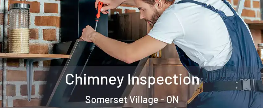  Chimney Inspection Somerset Village - ON