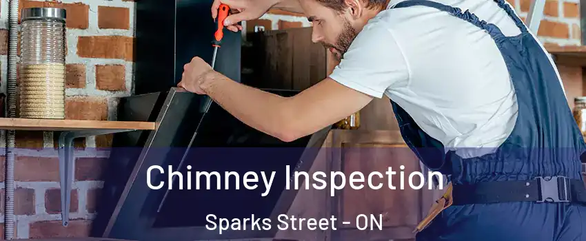  Chimney Inspection Sparks Street - ON