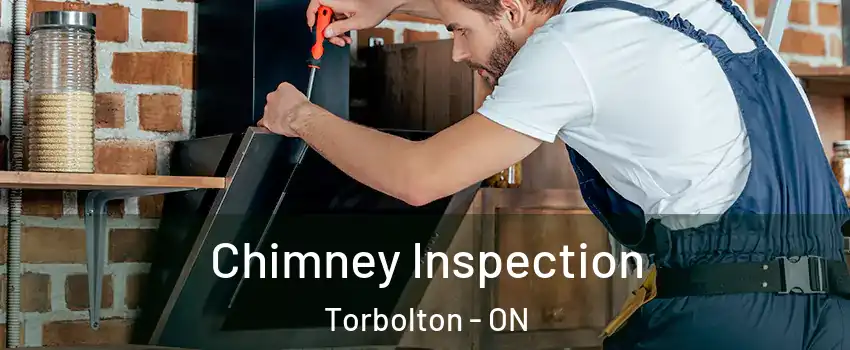  Chimney Inspection Torbolton - ON