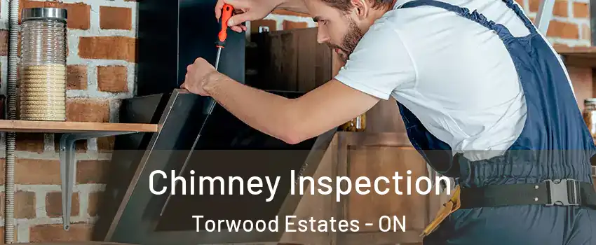  Chimney Inspection Torwood Estates - ON