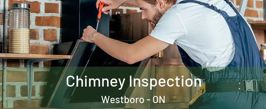  Chimney Inspection Westboro - ON