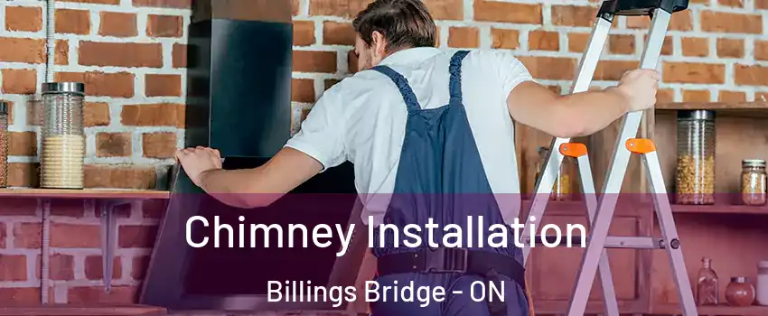  Chimney Installation Billings Bridge - ON