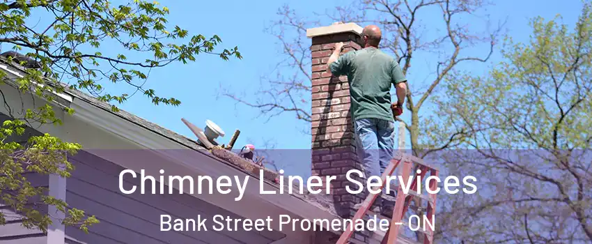  Chimney Liner Services Bank Street Promenade - ON