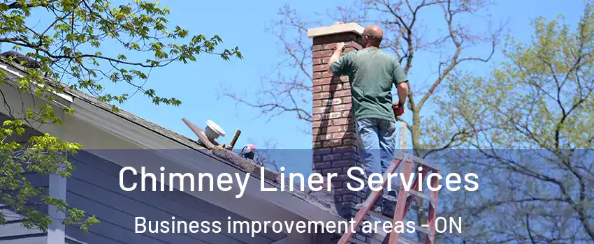  Chimney Liner Services Business improvement areas - ON