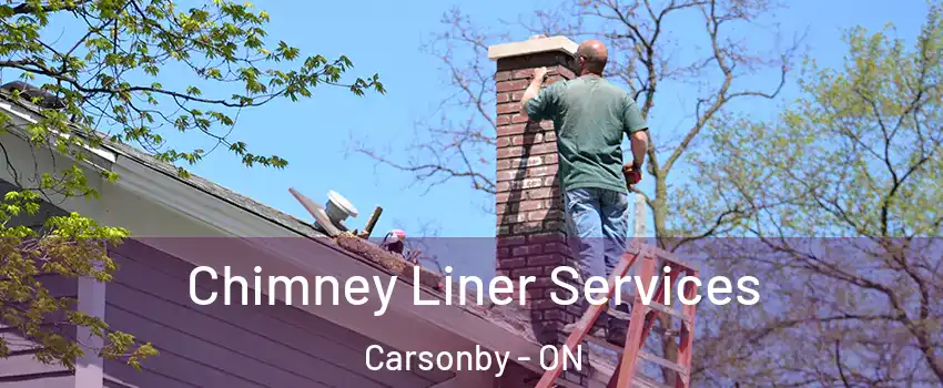  Chimney Liner Services Carsonby - ON