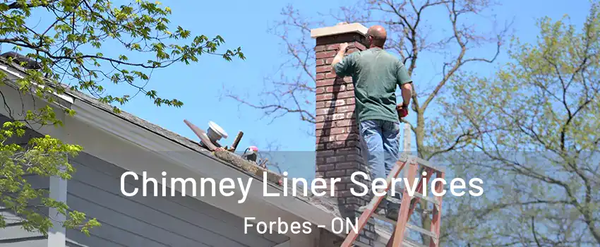  Chimney Liner Services Forbes - ON