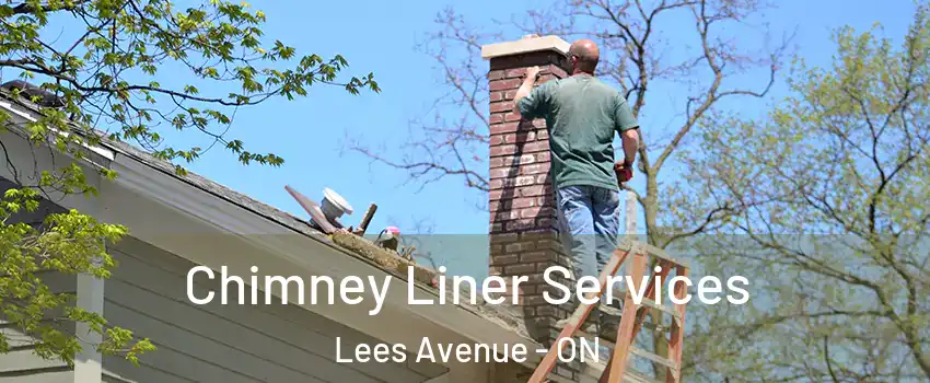  Chimney Liner Services Lees Avenue - ON