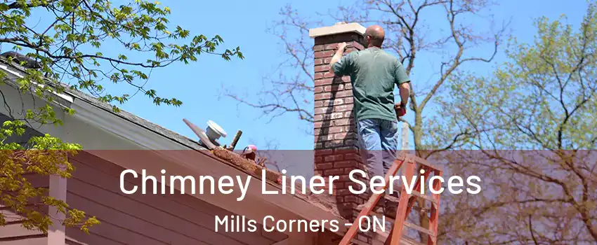  Chimney Liner Services Mills Corners - ON