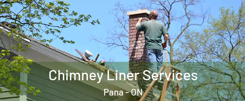  Chimney Liner Services Pana - ON