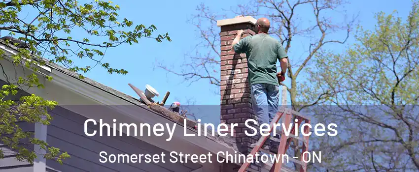  Chimney Liner Services Somerset Street Chinatown - ON