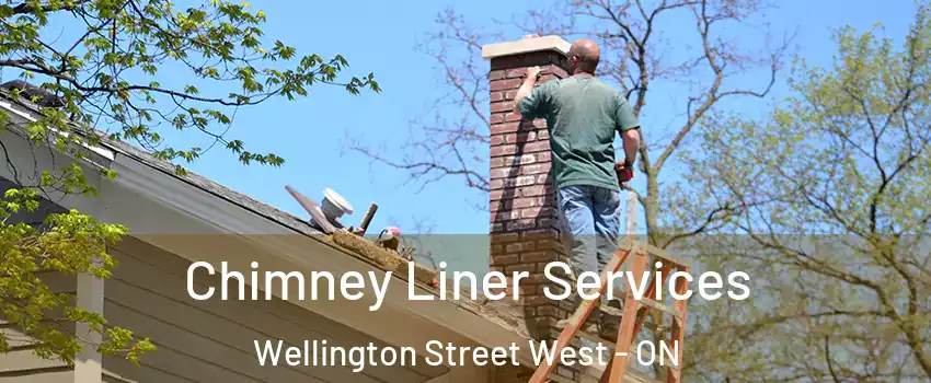  Chimney Liner Services Wellington Street West - ON