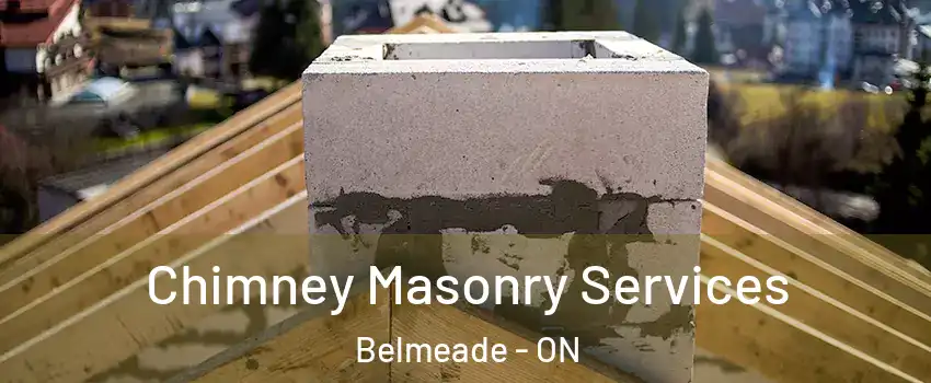  Chimney Masonry Services Belmeade - ON