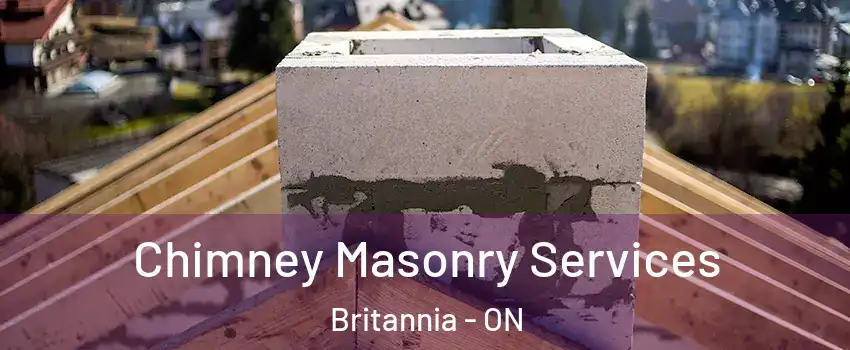  Chimney Masonry Services Britannia - ON