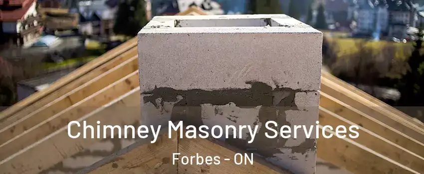  Chimney Masonry Services Forbes - ON