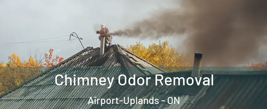  Chimney Odor Removal Airport-Uplands - ON