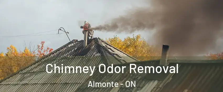  Chimney Odor Removal Almonte - ON