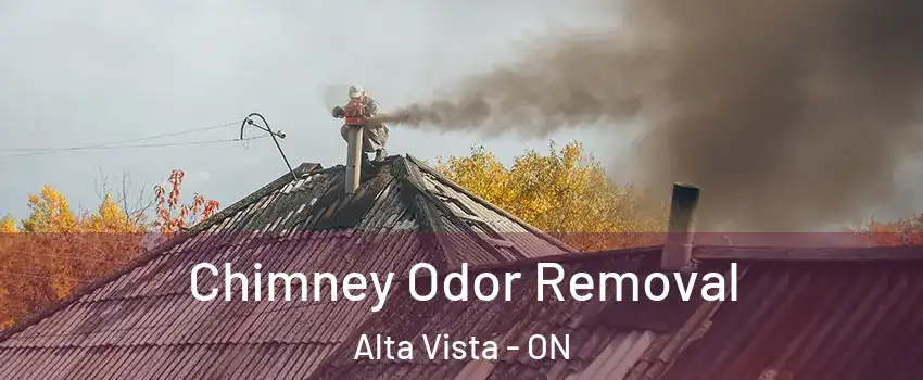  Chimney Odor Removal Alta Vista - ON