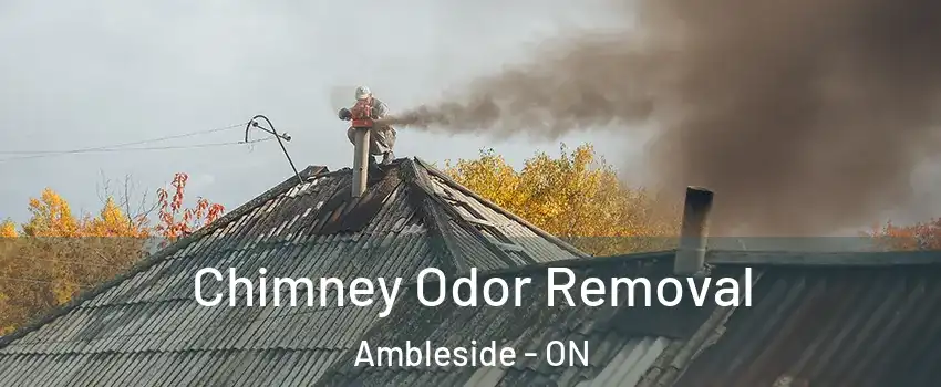  Chimney Odor Removal Ambleside - ON