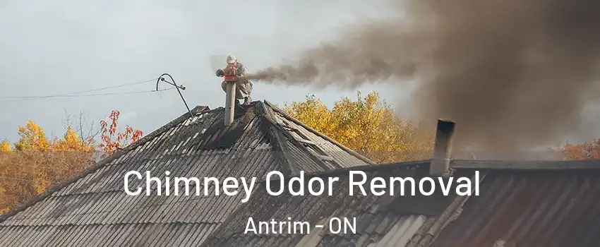  Chimney Odor Removal Antrim - ON