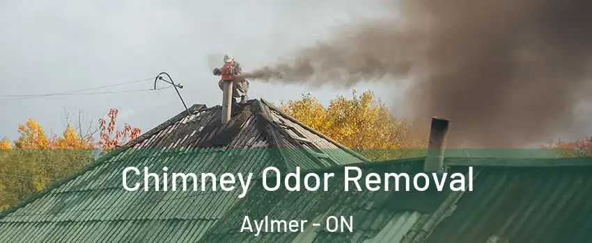  Chimney Odor Removal Aylmer - ON