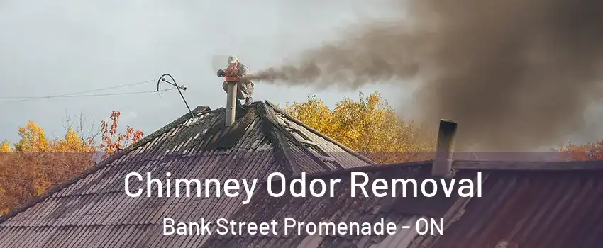  Chimney Odor Removal Bank Street Promenade - ON