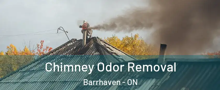  Chimney Odor Removal Barrhaven - ON