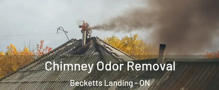  Chimney Odor Removal Becketts Landing - ON