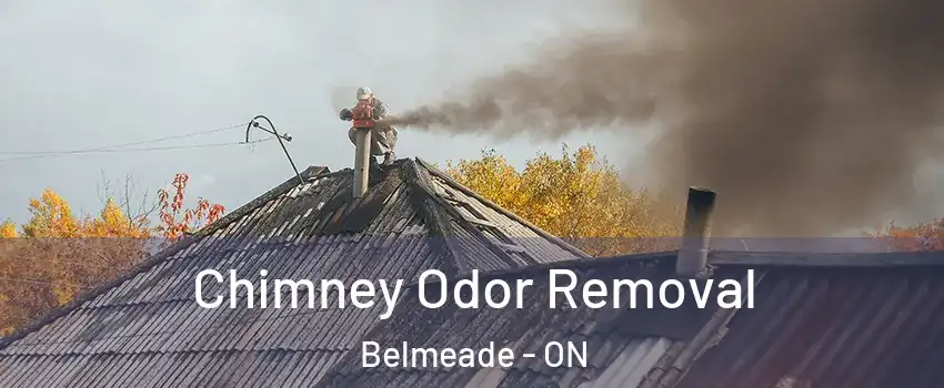  Chimney Odor Removal Belmeade - ON