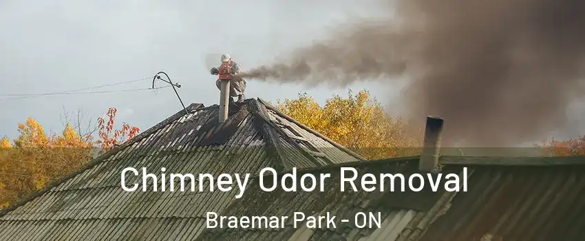  Chimney Odor Removal Braemar Park - ON