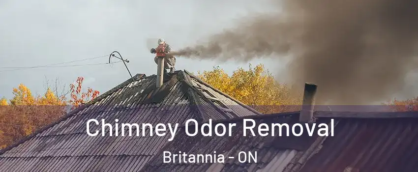  Chimney Odor Removal Britannia - ON