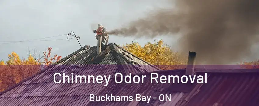  Chimney Odor Removal Buckhams Bay - ON