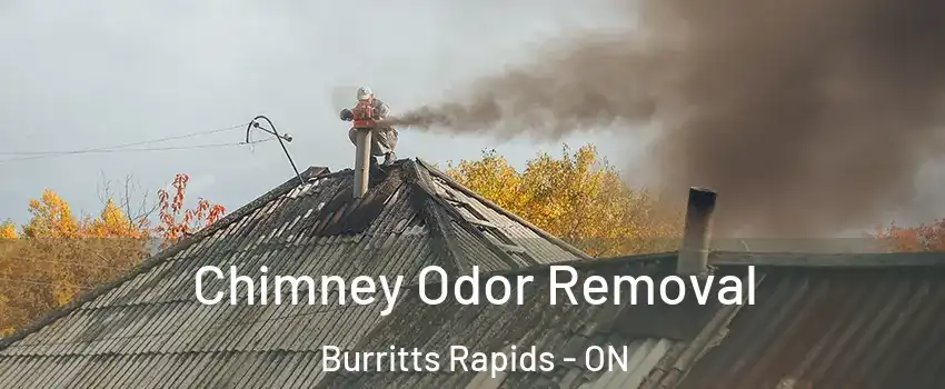  Chimney Odor Removal Burritts Rapids - ON