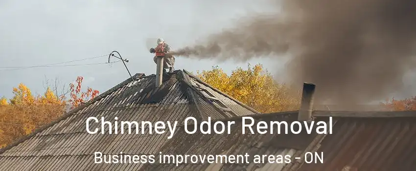  Chimney Odor Removal Business improvement areas - ON